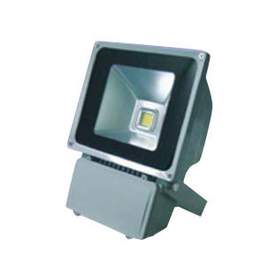 ES-FL60-01 FLOOD LIGHT